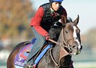 State of Play<br><a target="blank" href="http://www.bloodhorse.com/horse-racing/photo-store?ref=http%3A%2F%2Fpictopia.com%2Fperl%2Fgal%3Fprovider_id%3D368%26ptp_photo_id%3D9727866%26ref%3Dstory">Order This Photo</a>