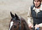 Zenyatta at Oaklawn Park