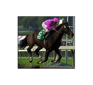 Chris McCarron guides Horse of the Year Tiznow to a five length win in the Santa Anita Handicap.