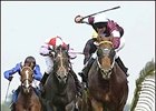 Choisir's Rivals Gasping in Golden Jubilee Choisir's Rivals Gasping in Golden Jubilee