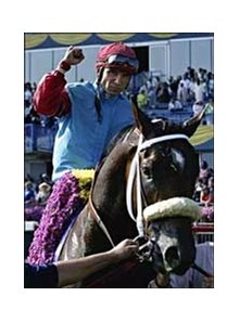 Jockey Pat Valenzuela pumps his fist aboard Wild Desert after winning the Queen's Plate.