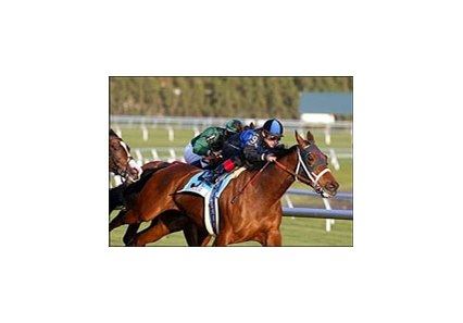 California-bred Valentine Dancer (9), with Jon Court riding, races to victory in the Cloverleaf Farms Filly & Mare Turf on Sunshine Millions Day at Gulfstream Park.