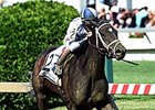 Stopchargingmaria leads the way home in the Allaire DuPont Distaff Stakes.<br><a target="blank" href="http://photos.bloodhorse.com/AtTheRaces-1/At-the-Races-2015/i-rvCPvkk">Order This Photo</a>