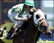 Stylish Takes Citgo Distaff Turf Mile Stylish Takes Citgo Distaff Turf Mile
