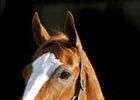 Rags to Riches Back at Belmont Rags to Riches Back at Belmont