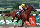 High Finance closes the deal with Tom Fool.<br><a target="blank" href="http://www.bloodhorse.com/horse-racing/photo-store?ref=http%3A%2F%2Fpictopia.com%2Fperl%2Fgal%3Fprovider_id%3D368%26ptp_photo_id%3D1608391%26ref%3Dstory">Order This Photo</a>