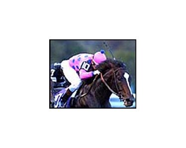 Tiznow, Jay Robbins-trained Horse of the Year and two-time Classic winner who has been retired.