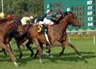Hotstufanthensome Sizzles in Tampa BC Stakes Hotstufanthensome Sizzles in Tampa BC Stakes