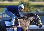 Beautician could go to post as the favorite in the 1 1/16-mile Starlet.