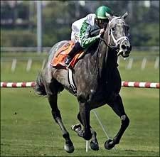Derby Week Nominations Include Wait A While, 'Anna Derby Week Nominations Include Wait A While, 'Anna