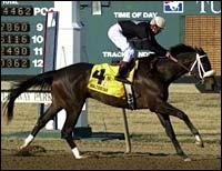 Haskin's Derby Report: A Valentine for Zito and a Shooting Star at Turfway Haskin's Derby Report: A Valentine for Zito and a Shooting Star at Turfway