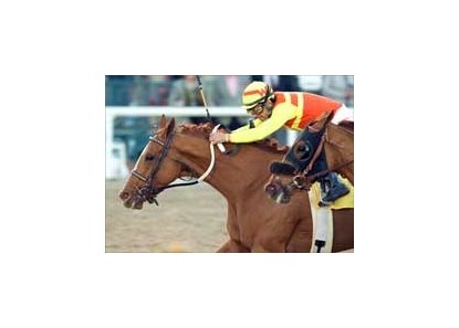 Foxysox rallied late to win Sunday's Bayakoa Handicap by a neck.