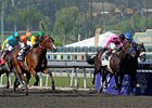 Dancing in Silks (left) was last seen upsetting the field in the Breeders' Cup Sprint.