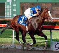 Florida Derby Update: Songandaprayer Works; New Jock for City Zip Florida Derby Update: Songandaprayer Works; New Jock for City Zip