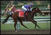 Washington-bred Tali'sluckybusride Best in Oak Leaf Stakes Washington-bred Tali'sluckybusride Best in Oak Leaf Stakes