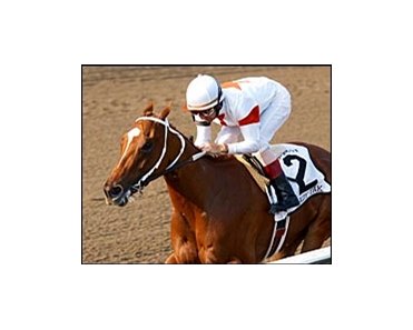 Lady Tak, winning the Test Stakes.