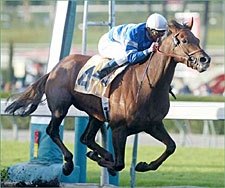 Master David Displays Derby Readiness; Lion Heart Works Master David Displays Derby Readiness; Lion Heart Works