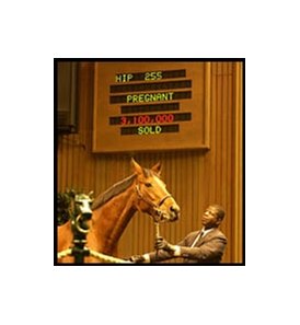 Fiji topped Monday's first session of the Keeneland November Breeding Stock Sale.