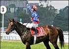 Makybe Diva Changes from Encosta de Lago to Fusaichi Pegasus Makybe Diva Changes from Encosta de Lago to Fusaichi Pegasus