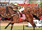 Miss Finland is expected to contest the Cox Plate on October 27th.