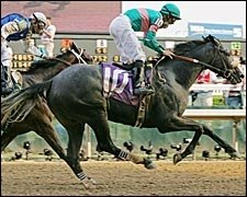 Derby Winner Giacomo Retired to Adena Springs Derby Winner Giacomo Retired to Adena Springs
