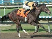 Hallowed Dreams Out of Victoria Lass Due to Sickness Hallowed Dreams Out of Victoria Lass Due to Sickness