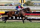 Outsider Rubiscent surprise winner of Underwood Stakes at Caulfield.