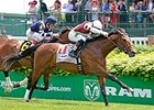 Divisidero won the American Turf (gr. IIT).