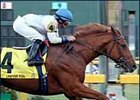 Risen Star Stakes winner Lawyer Ron faces next trial in Southwest Stakes.