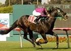 Gallant Son is the 5-2 morning line favorite in the Longaces Mile.<br><a target="blank" href="http://www.bloodhorse.com/horse-racing/photo-store?ref=http%3A%2F%2Fpictopia.com%2Fperl%2Fgal%3Fprovider_id%3D368%26ptp_photo_id%3D8929326%26ref%3Dstory">Order This Photo</a>