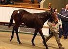Sea The Stars' Progeny Shines at Tatts Sale Sea The Stars' Progeny Shines at Tatts Sale