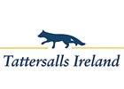 Tattersalls Ireland Unveils Sales Bumper Tattersalls Ireland Unveils Sales Bumper