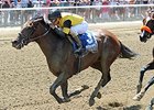 Empire Dreams wins the Commentator Stakes.
<br><a target="blank" href="
http://photos.bloodhorse.com/AtTheRaces-1/At-the-Races-2015/i-BCSDbkb">Order This Photo</a>