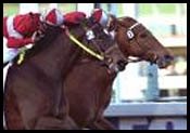 Affluent Wins Stretch Duel to Take El Encino Affluent Wins Stretch Duel to Take El Encino