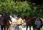 Six-Figure Filly Tops Keeneland's Day 12 Six-Figure Filly Tops Keeneland's Day 12