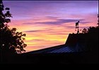 The Welfare and Safety of the Racehorse Summit will be held at the Keeneland Sales Pavilion.
