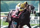 Raging Fever, one of two graded stakes winners produced from Pennant Fever.