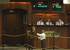 Casse Buys $425K A.P. Indy Colt at OBS Casse Buys $425K A.P. Indy Colt at OBS