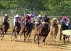 Arkansas Derby winner Sir Cherokee emerged OK from the New Orleans Handicap.