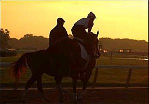 Friday Morning Report: Belmont Contenders on the Track Under Cloudless Skies Friday Morning Report: Belmont Contenders on the Track Under Cloudless Skies