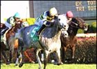 Churchill Downs Race Report: Fall Hues Churchill Downs Race Report: Fall Hues