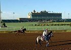 Lone Star Park