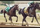 Vindication leads Crowned King, who threw his rider out of the gate, en route to winning the Kentucky Cup Juvenile.