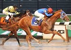 Summer Bird sweeping of the Belmont Stakes, the Travers and the Jockey Club Gold Cup is one of the choices for NYRA's Story of the Year.<br><a target="blank" href="http://www.bloodhorse.com/horse-racing/photo-store?ref=http%3A%2F%2Fpictopia.com%2Fperl%2Fgal%3Fprovider_id%3D368%26ptp_photo_id%3D8530551%26ref%3Dstory">Order This</a>