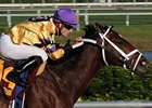 Jack Spratt won the Dania Stakes on Jan. 17.