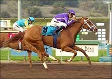 Rags to Riches Writes Las Virgenes Success Story Rags to Riches Writes Las Virgenes Success Story