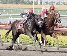 Corinthian Gets Grade in Gulfstream Park Handicap Corinthian Gets Grade in Gulfstream Park Handicap