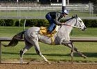 Storm in May has the first post position pick.<br><a target="blank" href="http://www.bloodhorse.com/horse-racing/photo-store?ref=http%3A%2F%2Fpictopia.com%2Fperl%2Fgal%3Fgallery_id%3D14779%26sequencenum%3D0%26provider_id%3D368%26process%3Dgallery%26page%3Dthumbnails">Derby Works Photos</a>