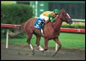 A New Twist Reverses Valley Stream Decision in Old Hat Stakes A New Twist Reverses Valley Stream Decision in Old Hat Stakes