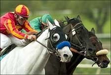 Preachin' Tops Super Day for Baffert, Pegram Preachin' Tops Super Day for Baffert, Pegram